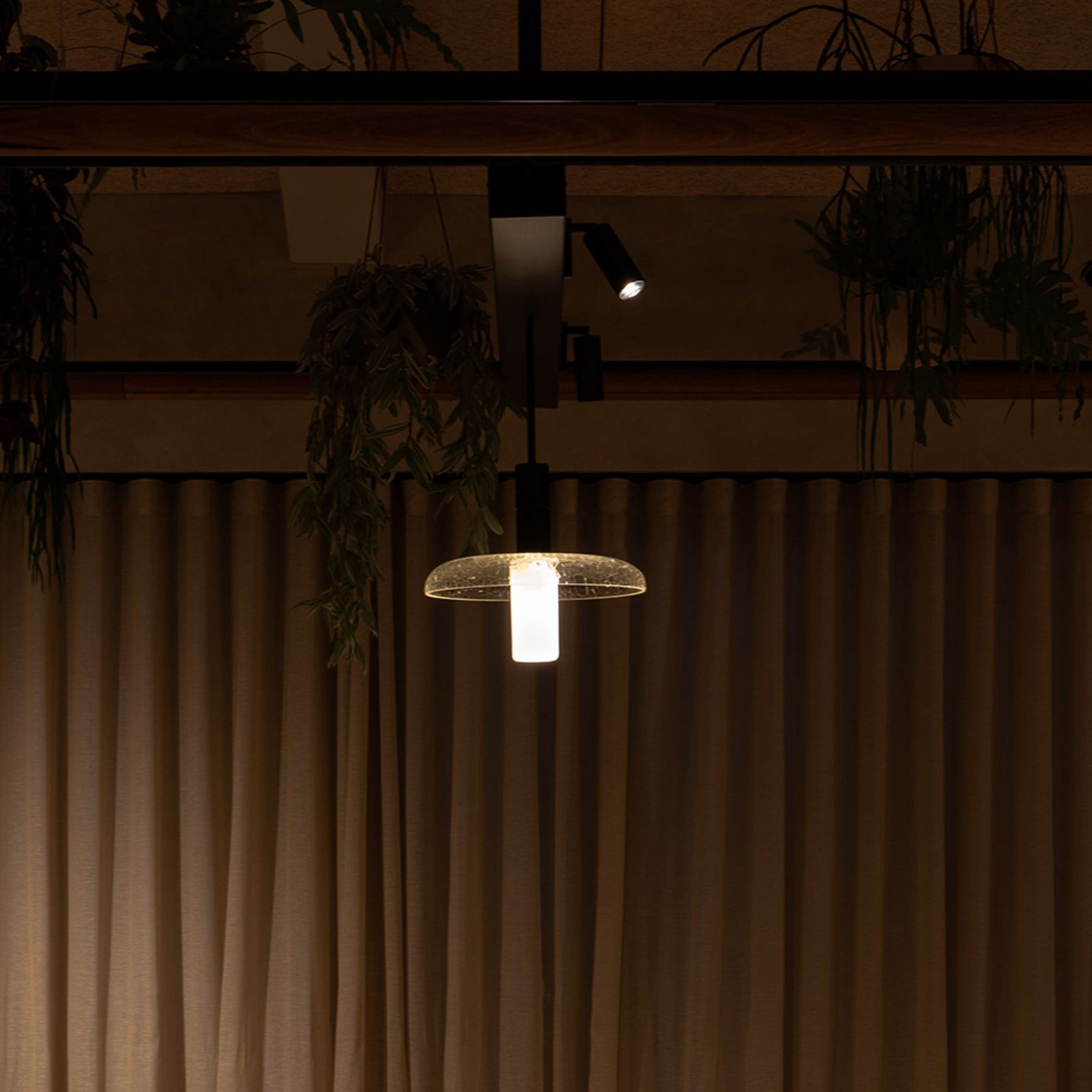 Nocturnal Firefly Spotlight gallery detail image
