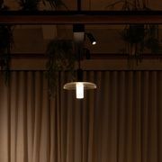 Nocturnal Firefly Spotlight gallery detail image