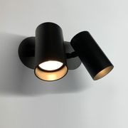Tullyspot Duo COB Pro Spotlight gallery detail image