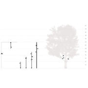 KONO ZOOM Spotlight by Cariboni gallery detail image