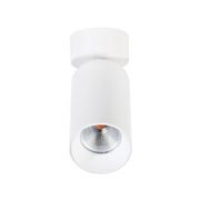 RANFURLY NS230 Surface Spot Light gallery detail image