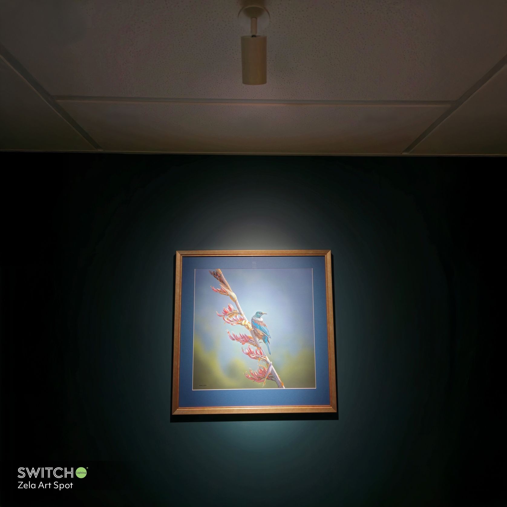 ZELA Art Spot Light gallery detail image