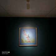 ZELA Art Spot Light gallery detail image