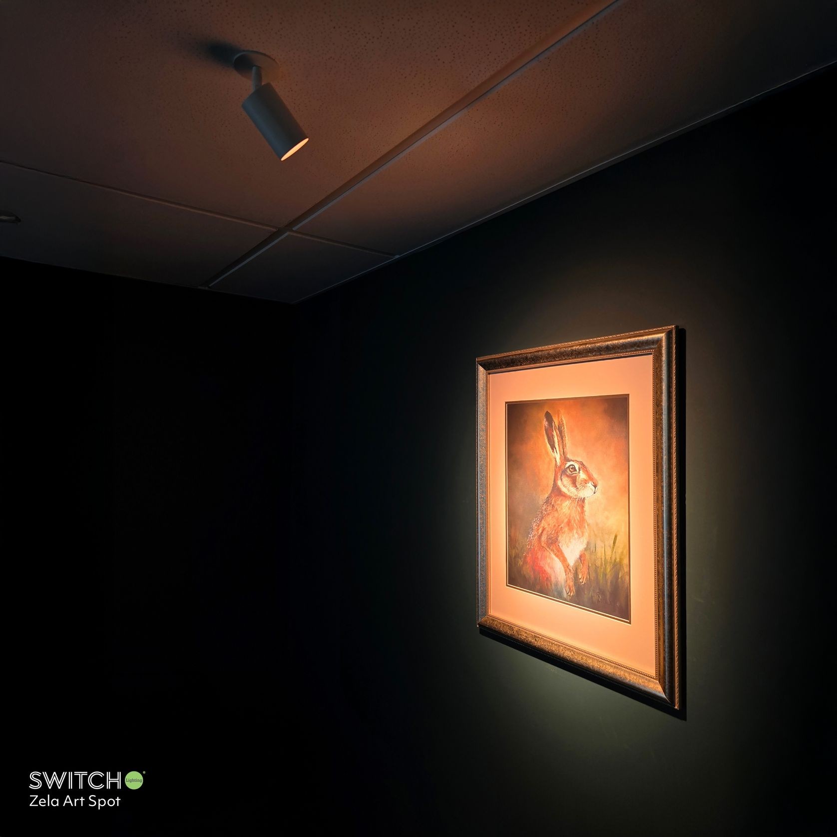 ZELA Art Spot Light gallery detail image