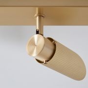 Spot Pro Triple Ceiling Light gallery detail image