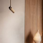 Spot Pro Ceiling Light gallery detail image