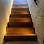 Nocturnal Bilby Eyelid Stair Light gallery detail image