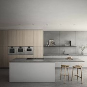 Gaggenau Built-in Compact Oven W/ Steam 200 Series gallery detail image