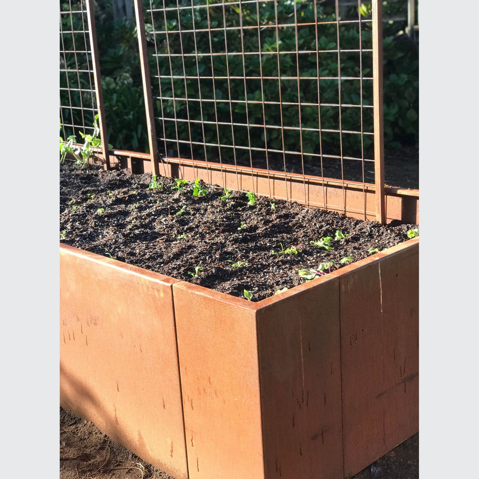 Corten Steel Modular Planter Box gallery detail image