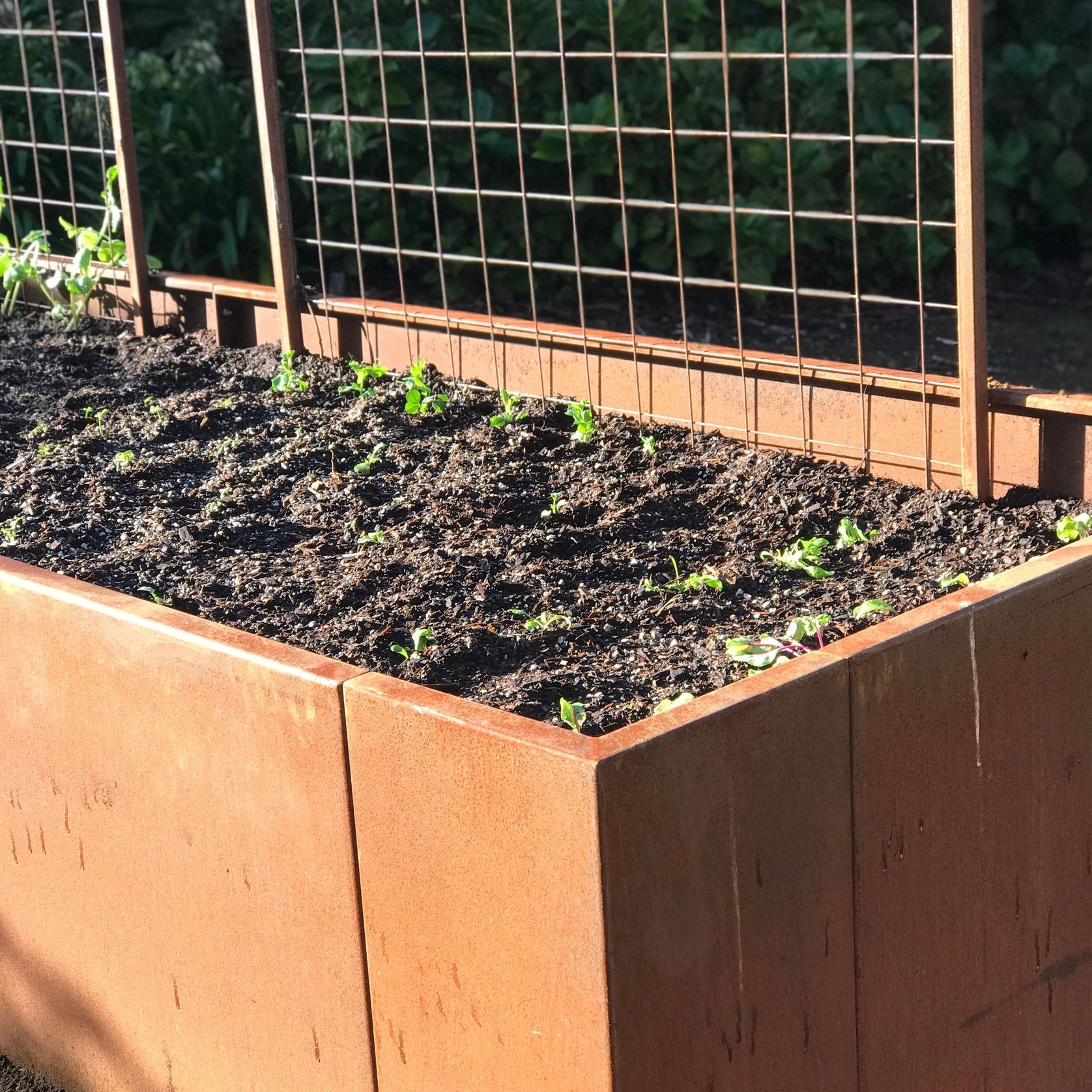 Corten Steel Modular Planter Box gallery detail image