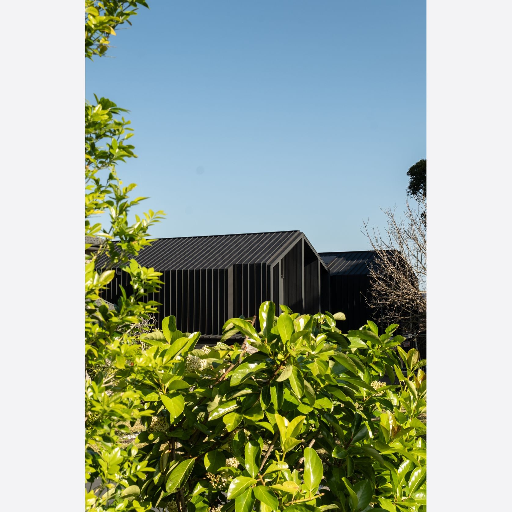 Eclipse™ Snaplock gallery detail image