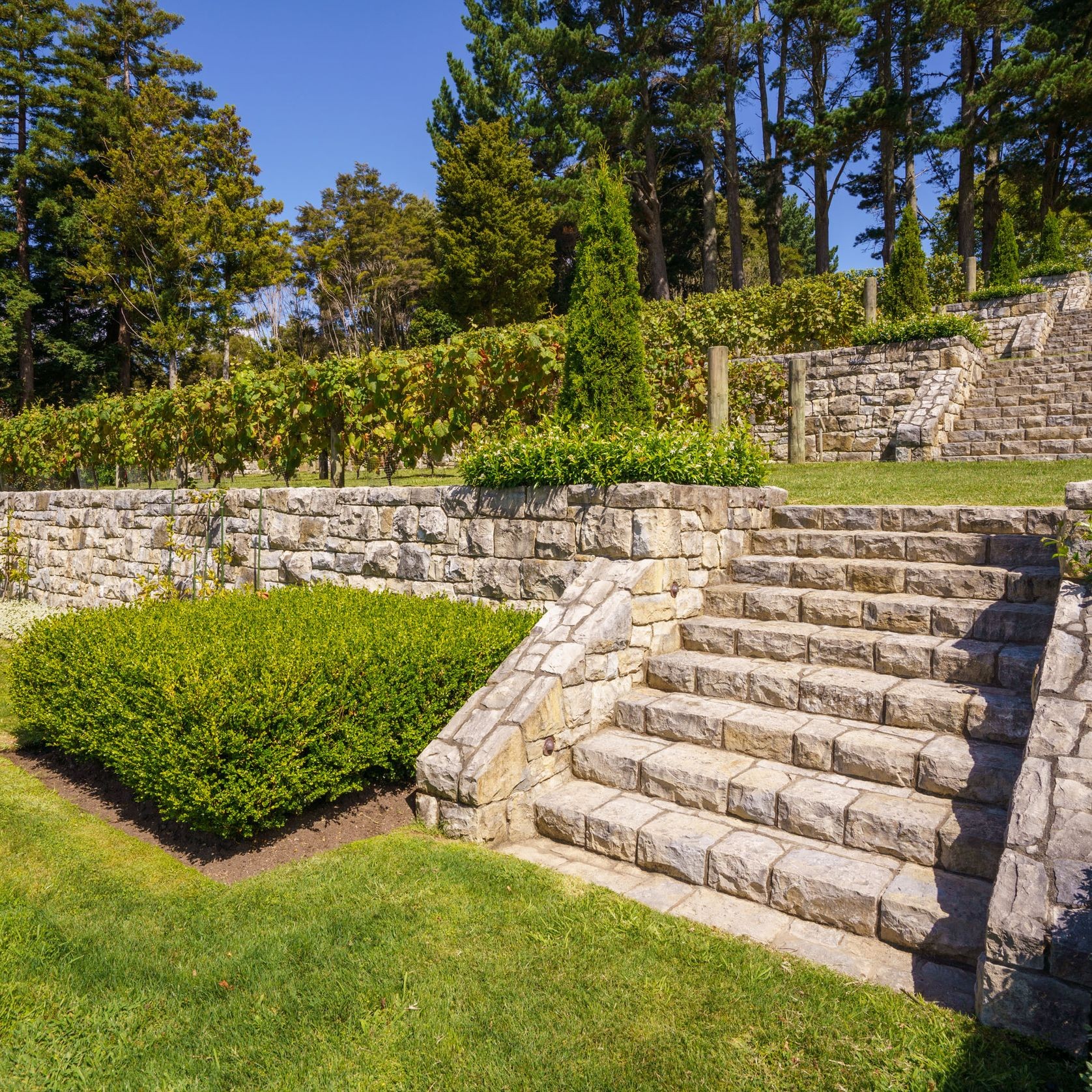 Stone Paving & Steps gallery detail image