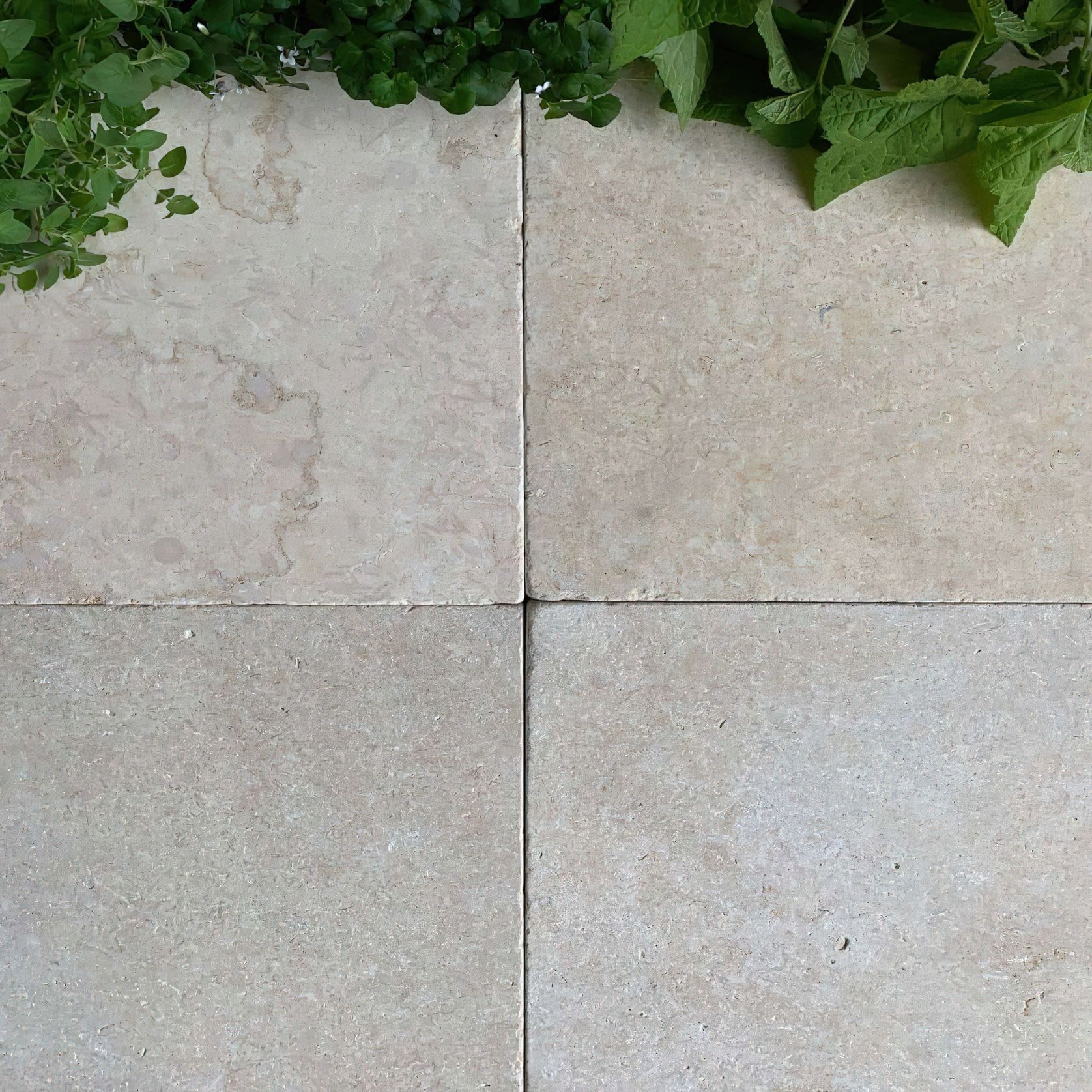 Cream Limestone gallery detail image