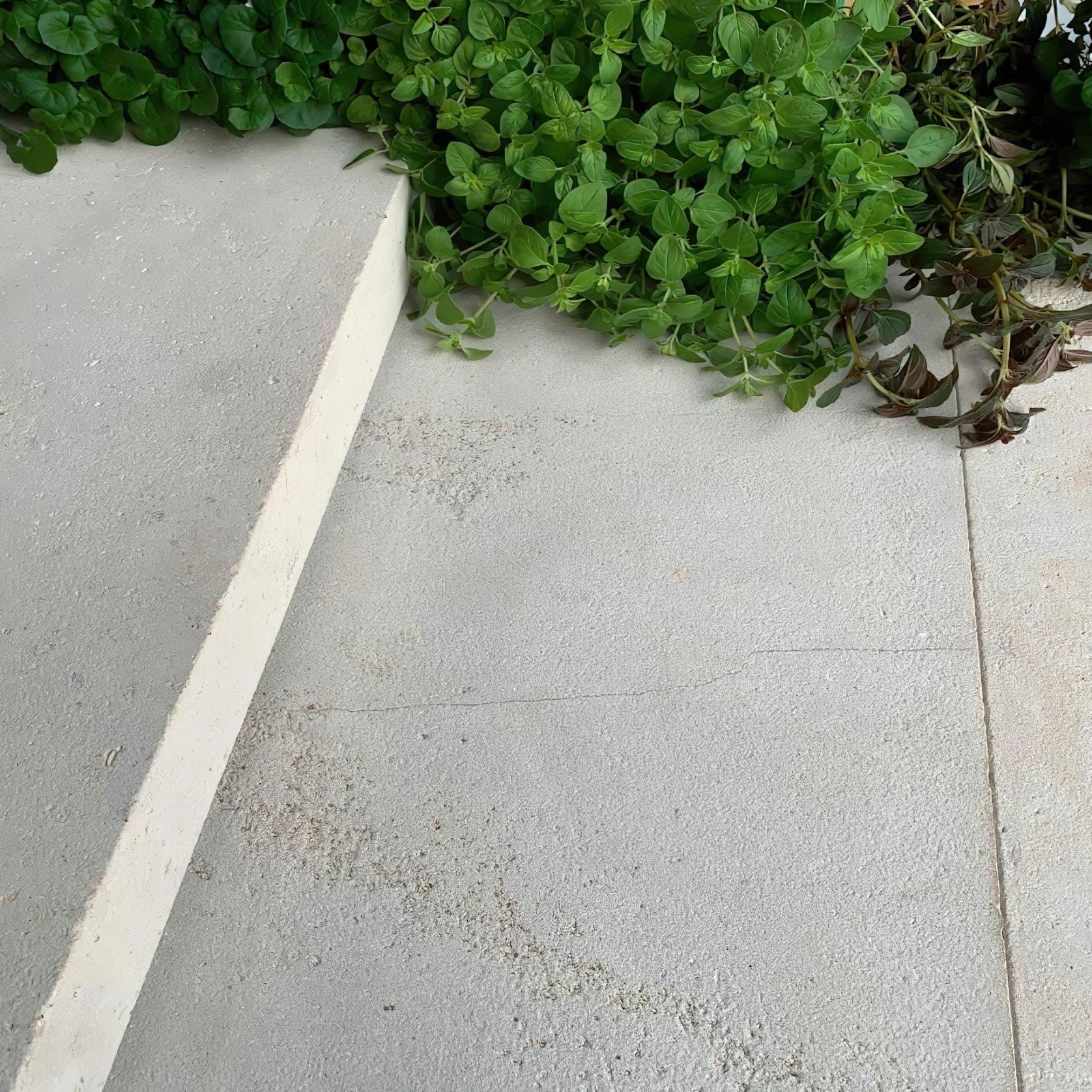 Sinai White Limestone gallery detail image