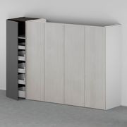 Blum REVEGO uno Pocket Door System gallery detail image
