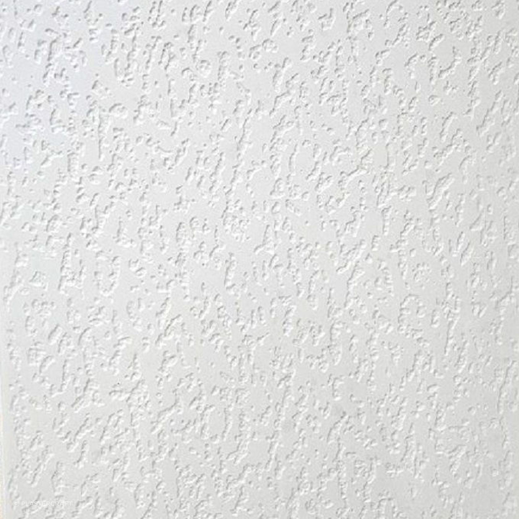 Plaster Ceiling Panel