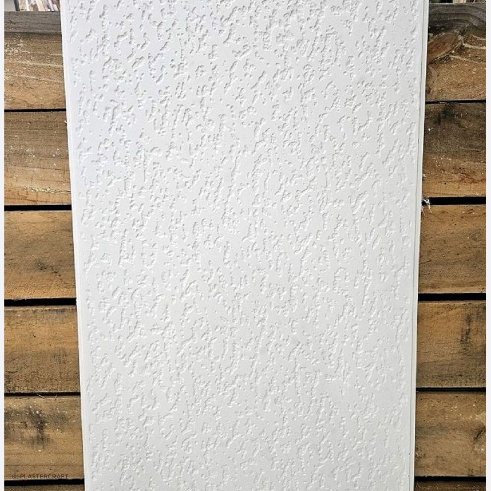 Plaster Ceiling Panel