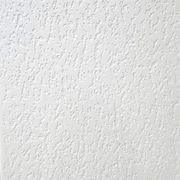 Plaster Ceiling Panel