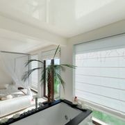 Barrisol Stretch Ceilings gallery detail image