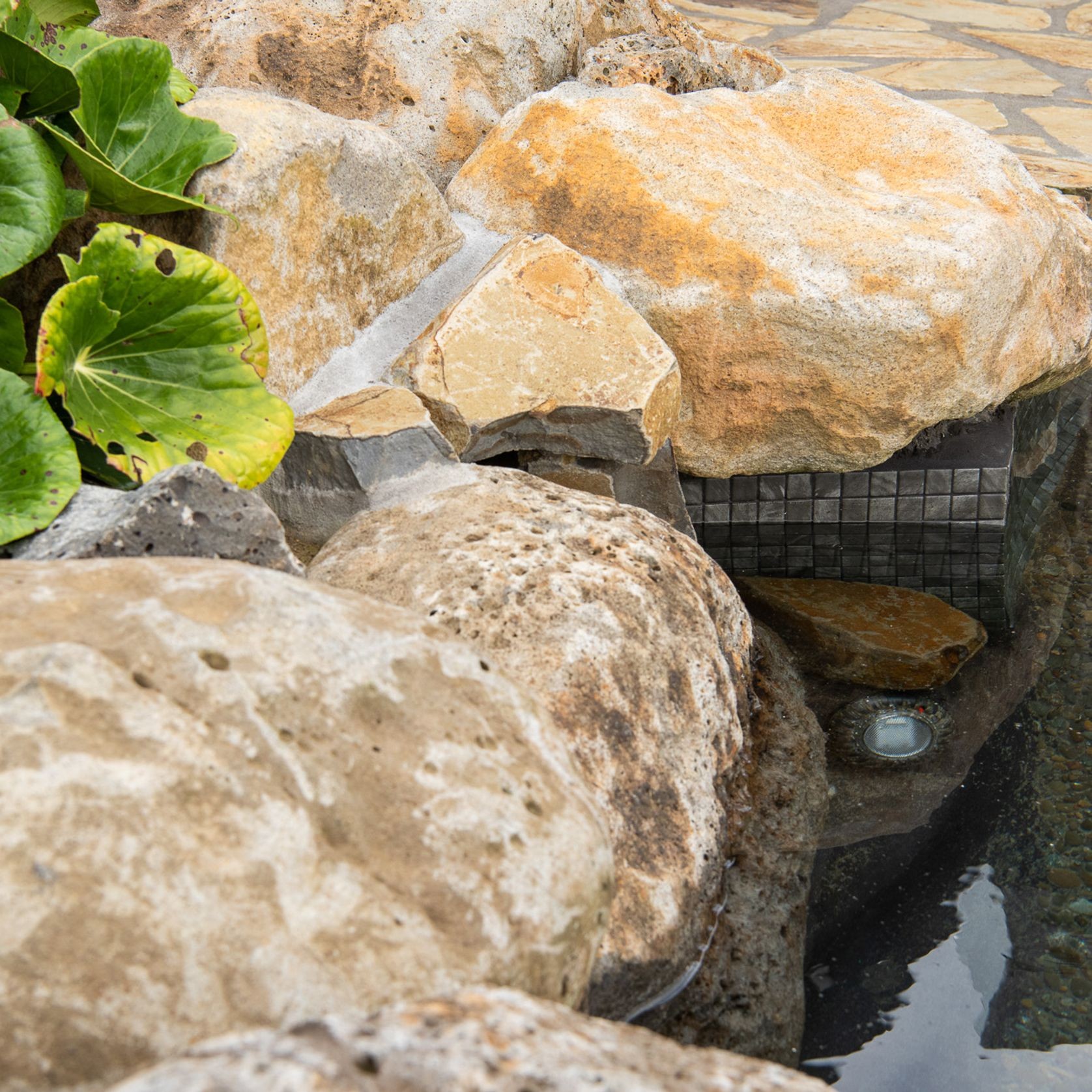 Rock Pools gallery detail image