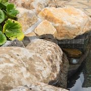 Rock Pools gallery detail image