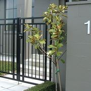 Tubular Pathway Gates gallery detail image