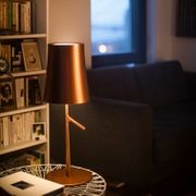 Birdie Table Lamp gallery detail image