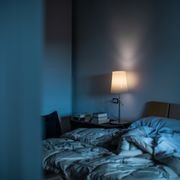 Birdie Table Lamp gallery detail image