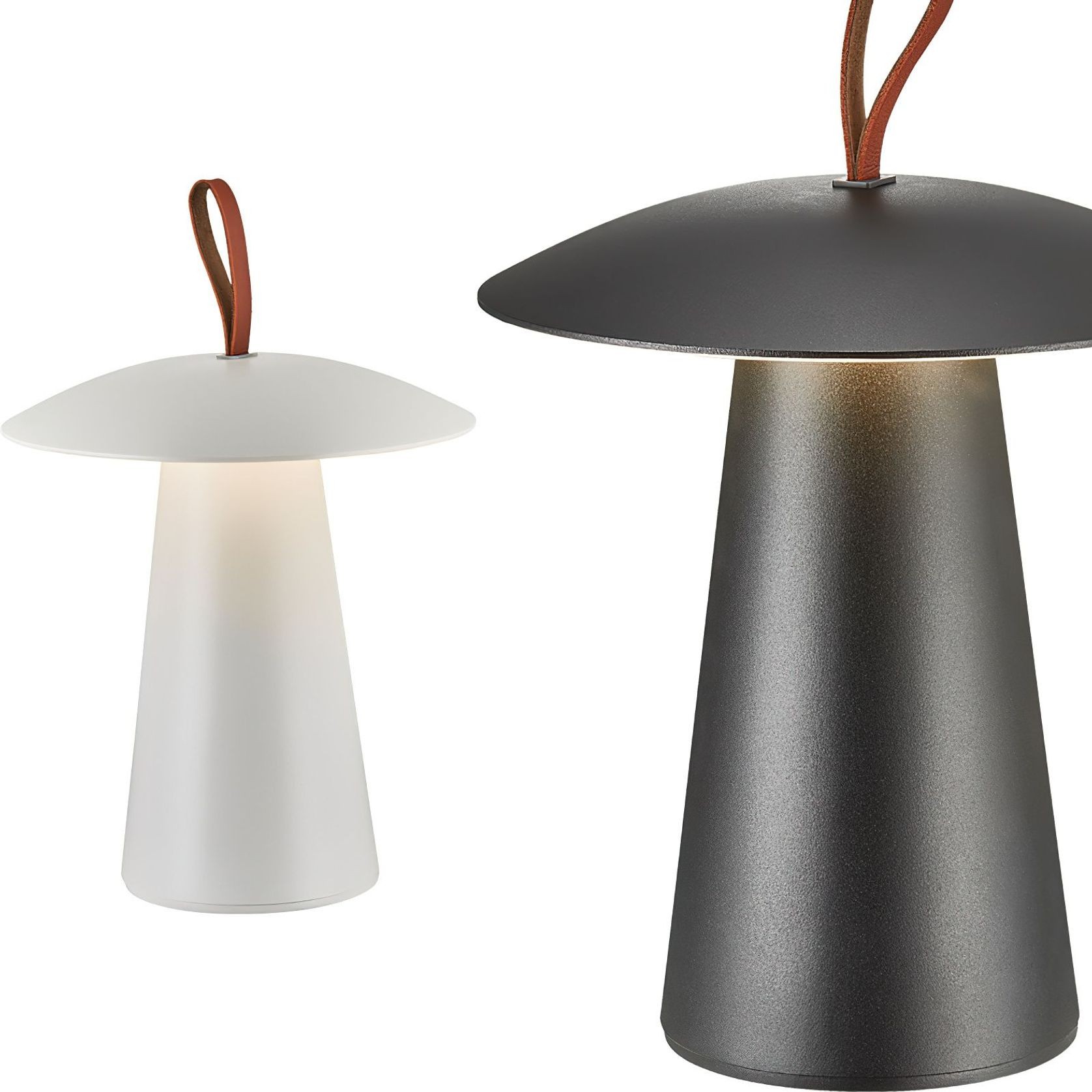 Ara To Go Portable Lamp gallery detail image