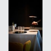 Ginger Portable gallery detail image