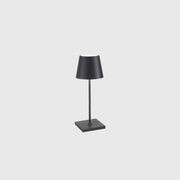 Poldina Mini Table Lamp gallery detail image