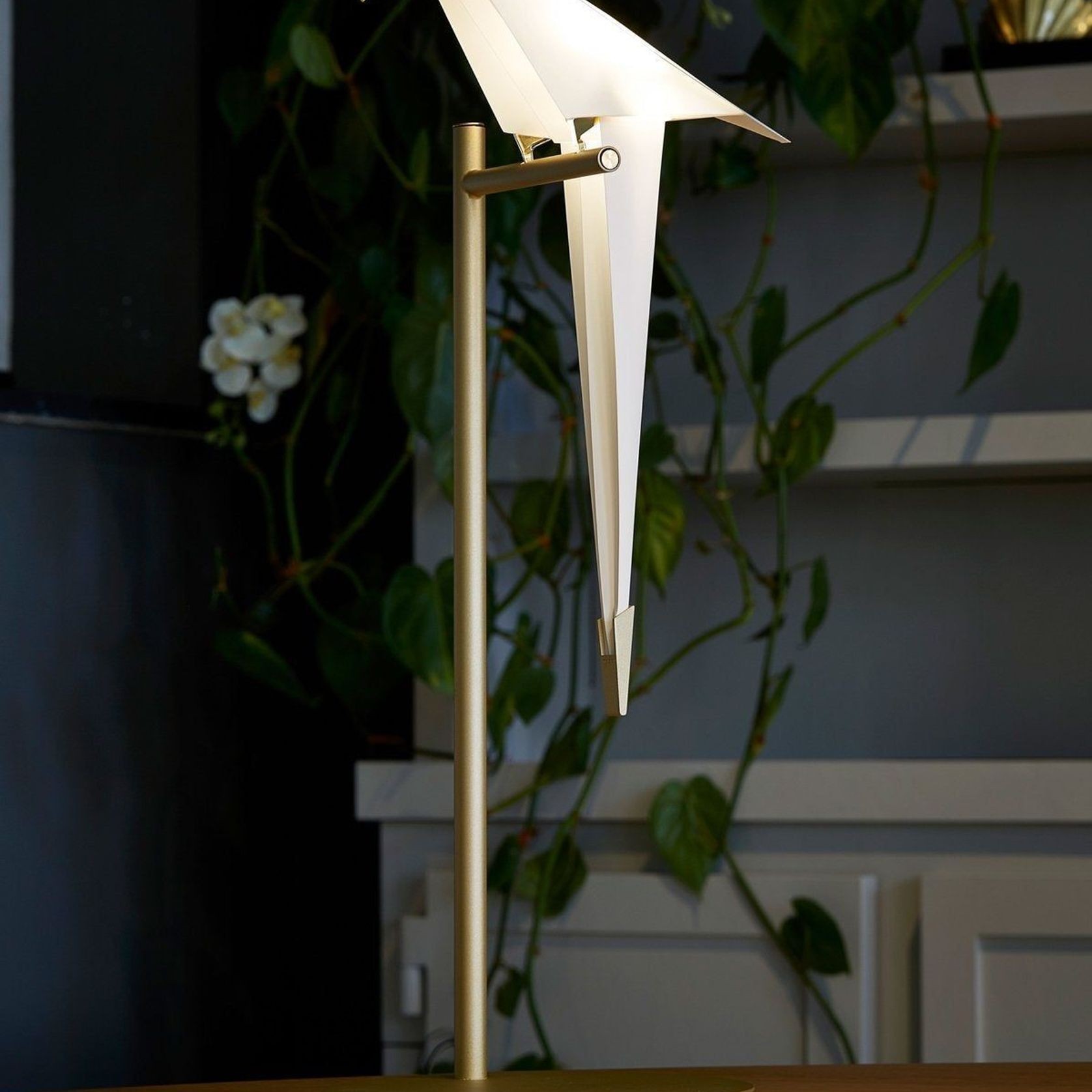 Perch Table light gallery detail image