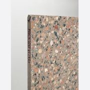 Gecko | Terrazzo Slabs gallery detail image