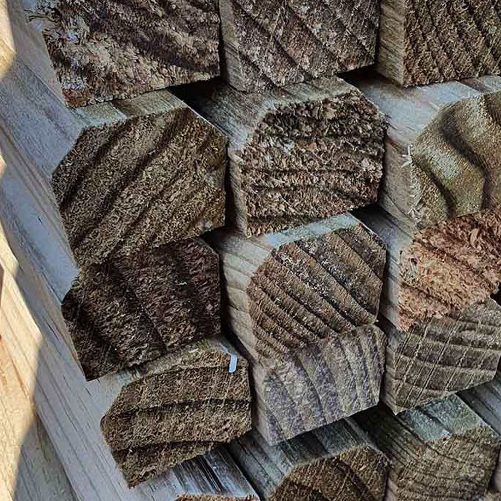 Sheep Grating Pine Timber gallery detail image