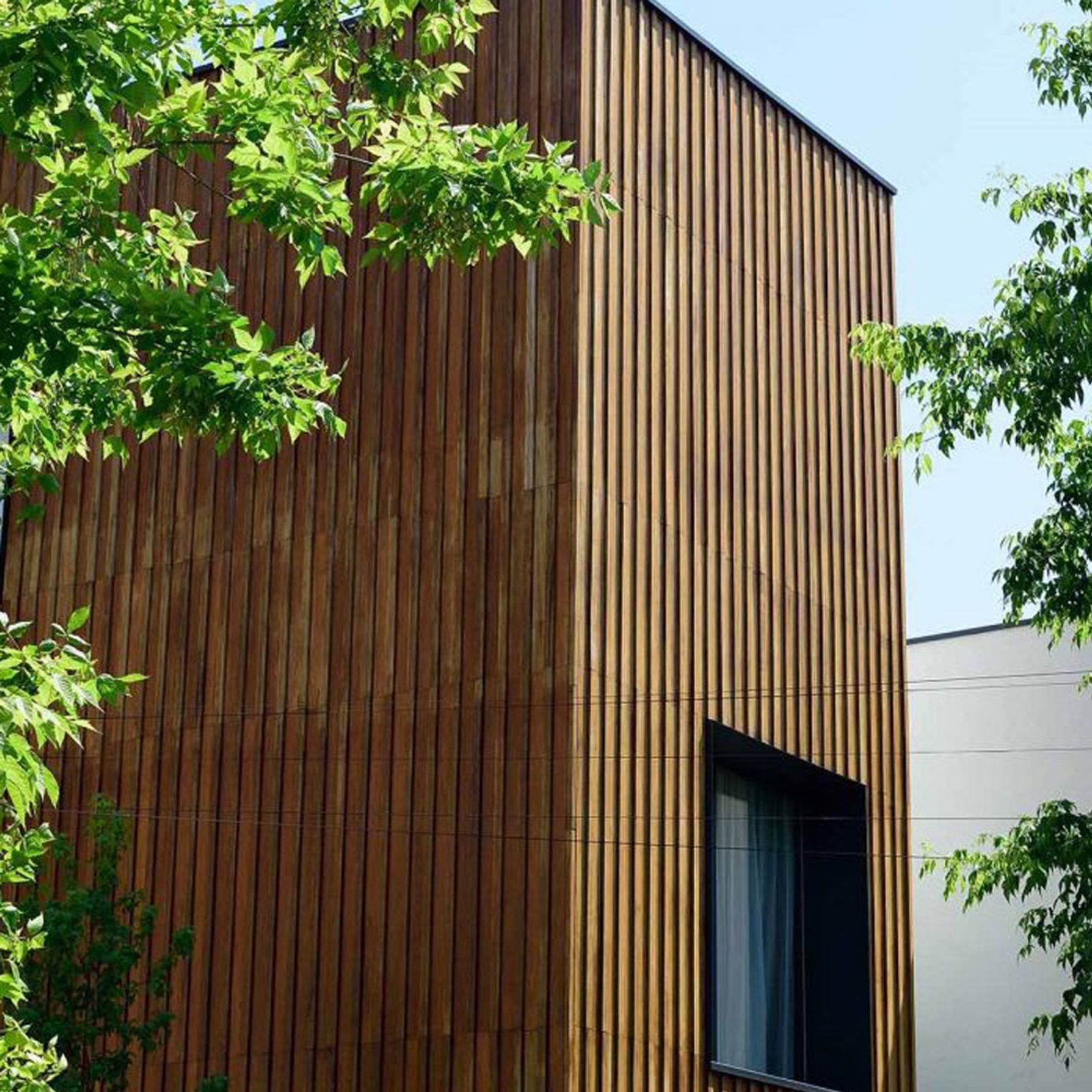 Exterior Macrocarpa Timber gallery detail image