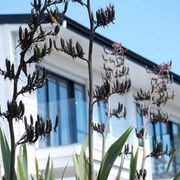 Clelands Rusticated Weatherboards gallery detail image