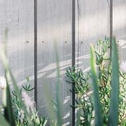 CUTEK® Colourtone gallery detail image