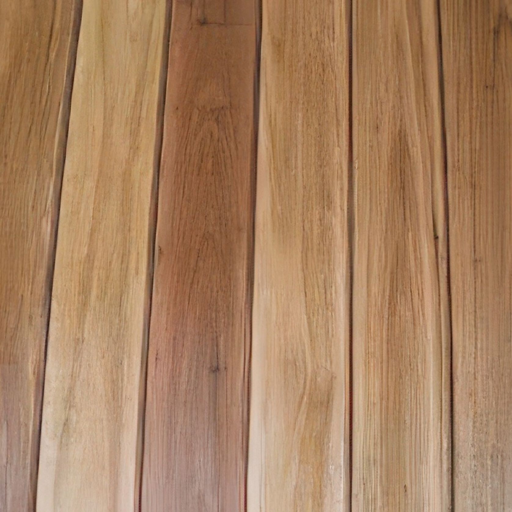 Blackbutt gallery detail image
