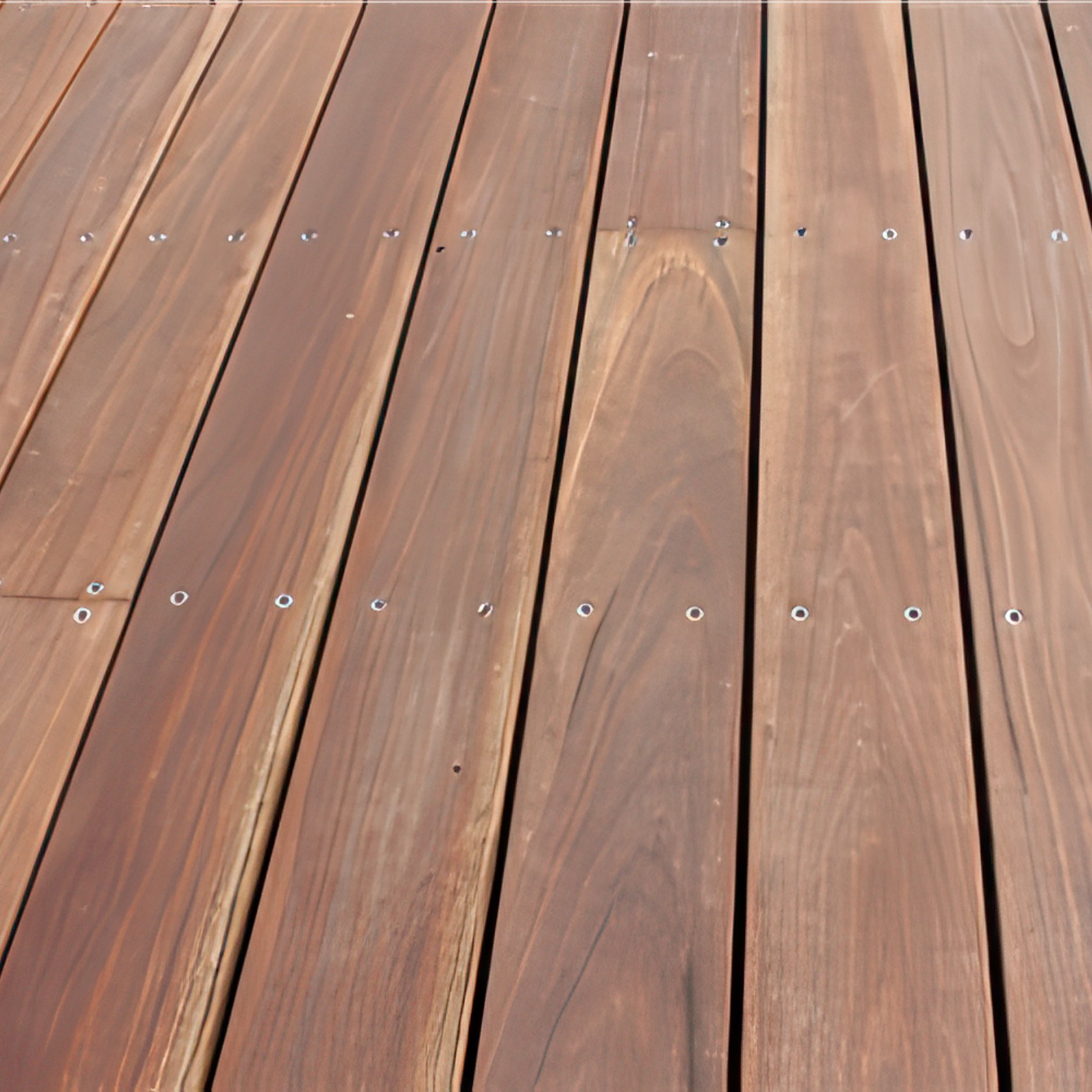 Spotted Gum gallery detail image