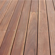Spotted Gum gallery detail image