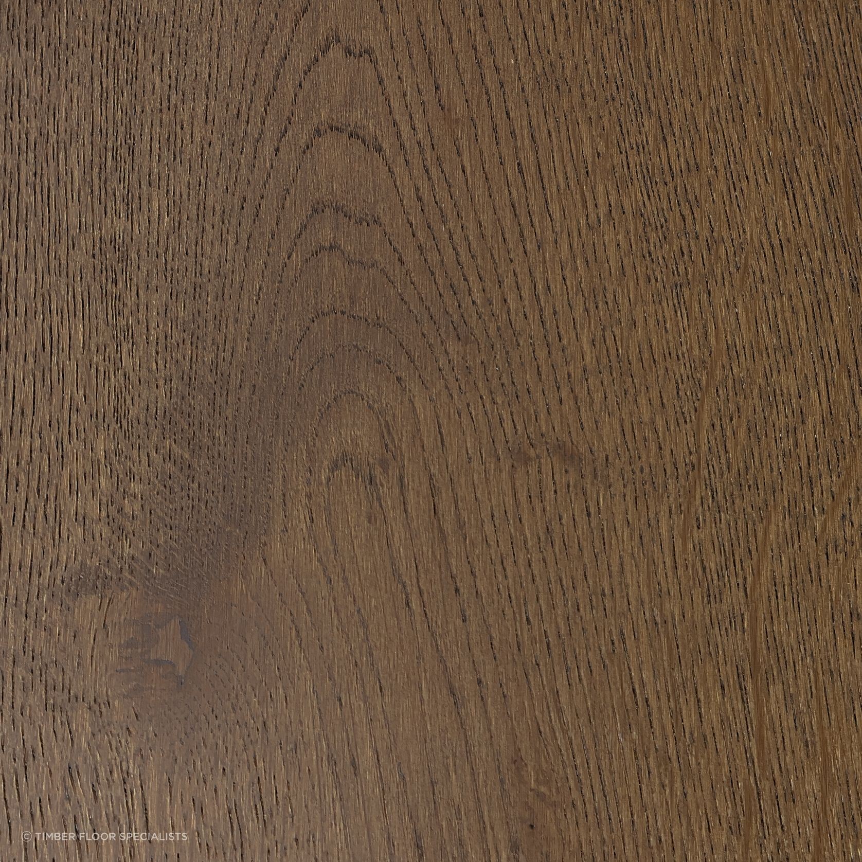 Mocha gallery detail image