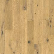 Pergo Harstena Dune Oak Timber Flooring gallery detail image