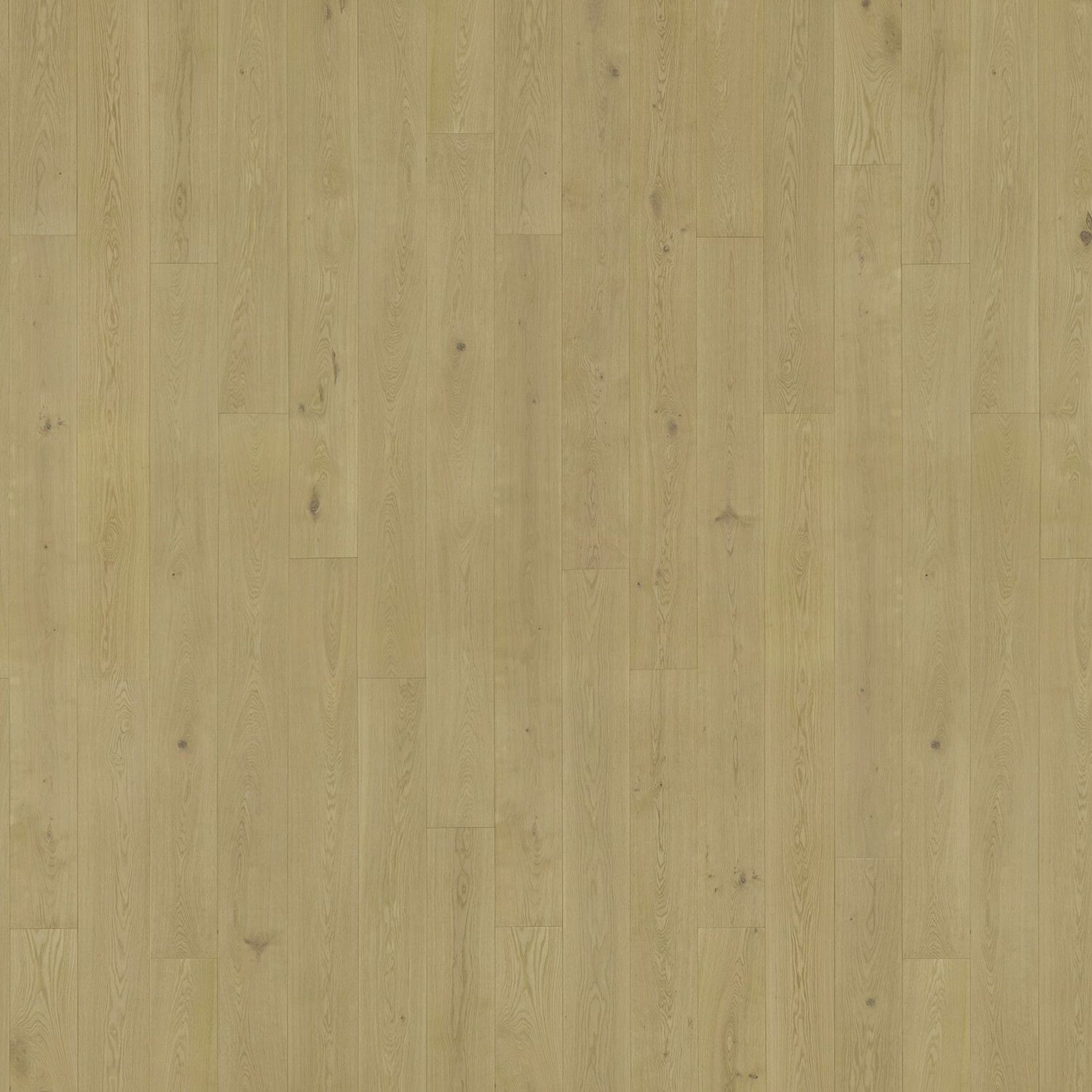 Freado | Solid European Oak Floor Boards gallery detail image