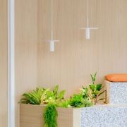 HW32106 | Clicwall Light Natural gallery detail image