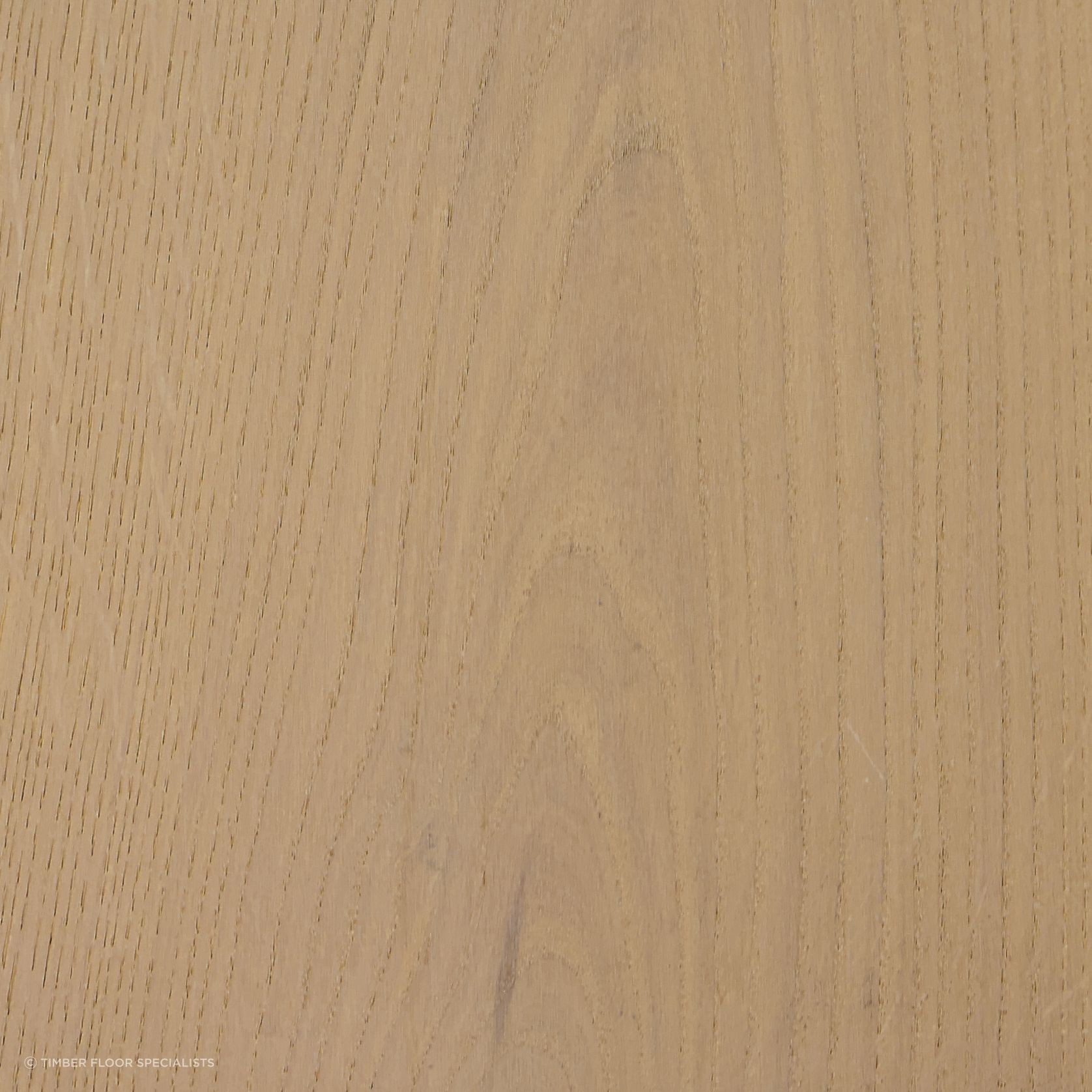 Biscotti gallery detail image