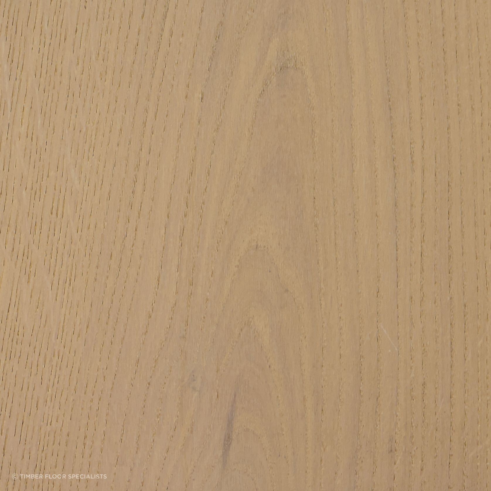 Biscotti gallery detail image