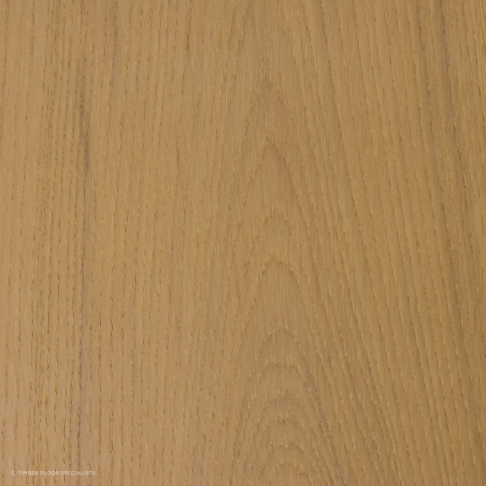 Day Break gallery detail image