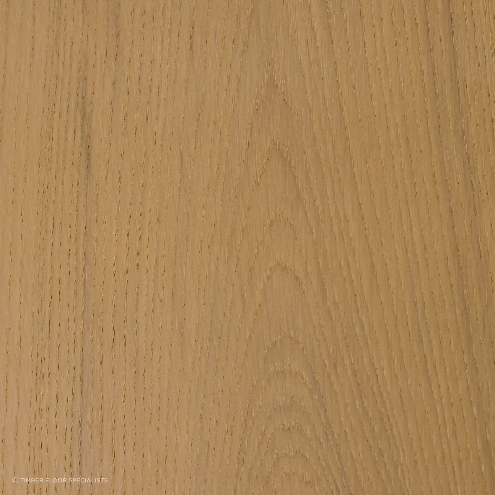 Day Break gallery detail image