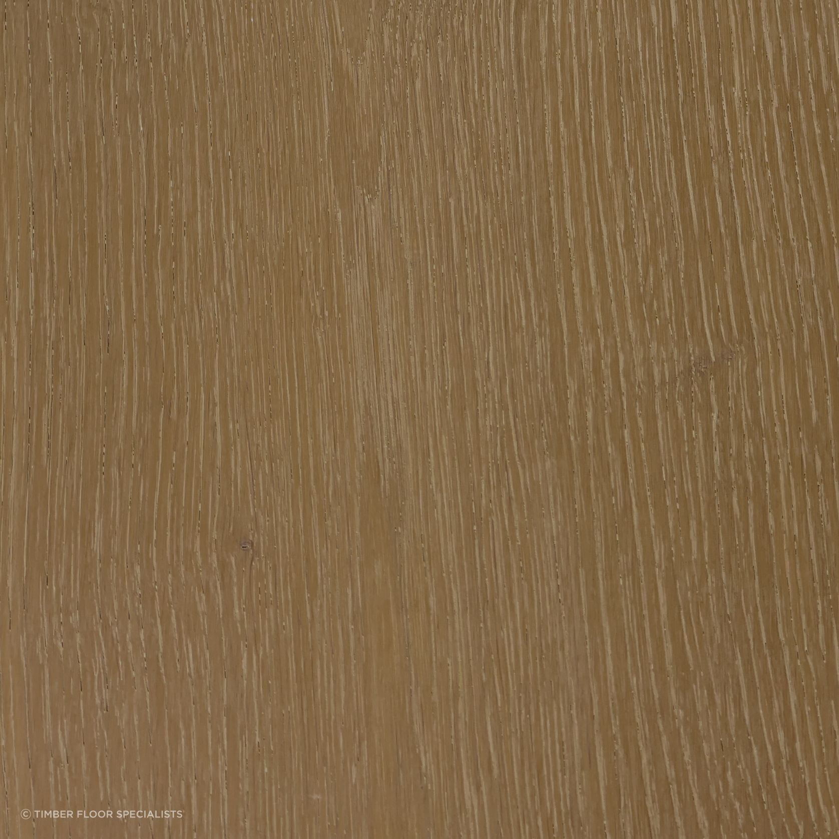 Putty gallery detail image