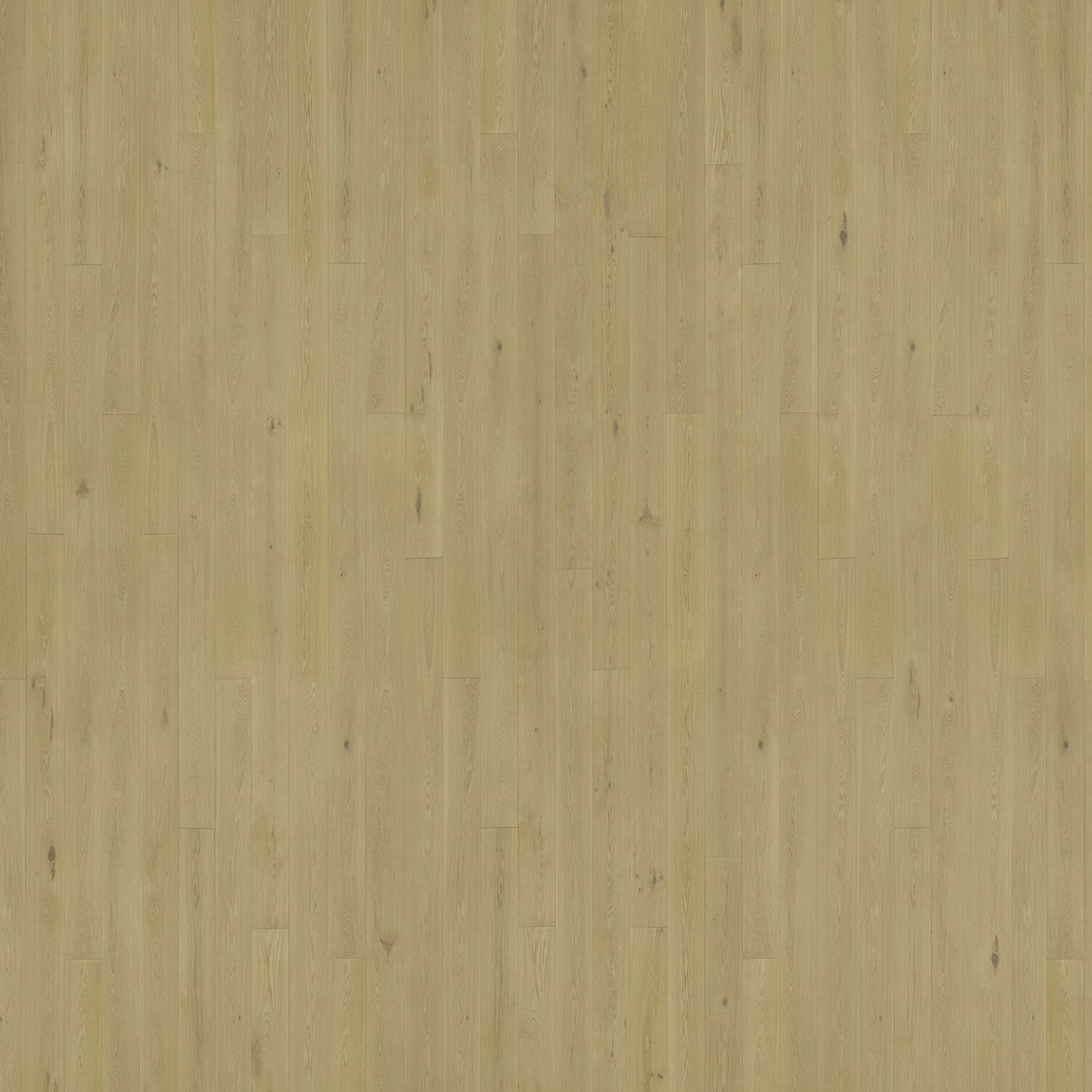Freado | Solid European Oak Floor Boards gallery detail image